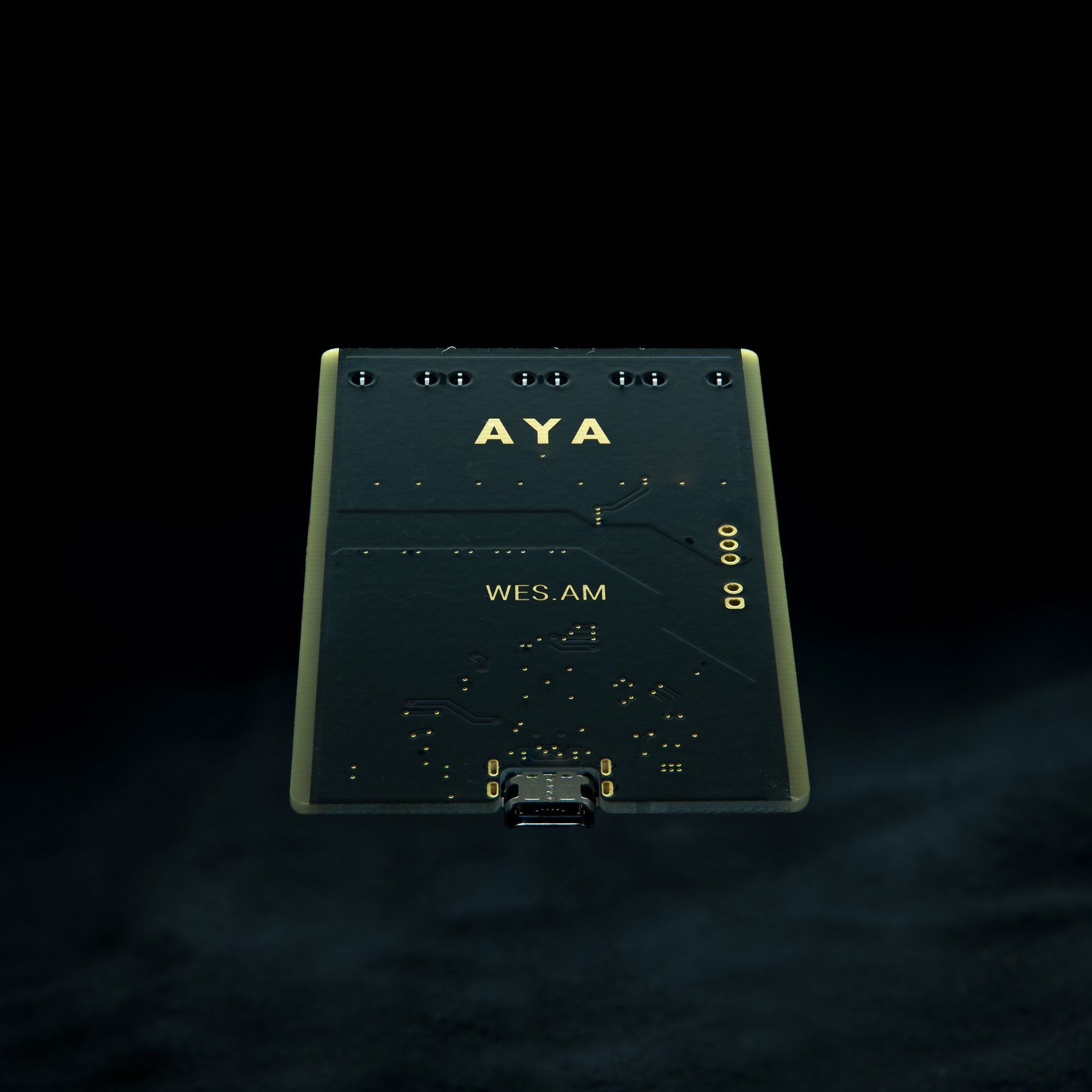 aya-dl